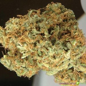 Power Plant Weed strain For Sale