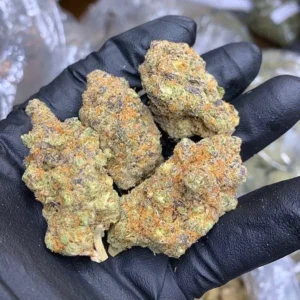 Purple Haze Weed for sale