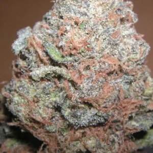 Purple Kush Weed For Sale