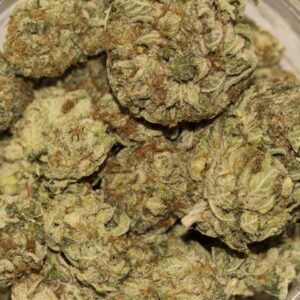 SFV OG Kush For Sale