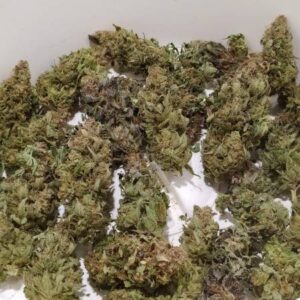 Strawberry Amnesia Weed Strain For Sale