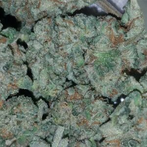 White Fire OG Kush For Sale