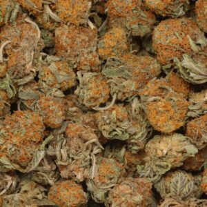 Chocolate Orange Weed For Sale